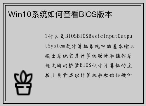 Win10系统如何查看BIOS版本