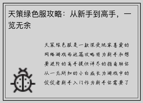 天策绿色服攻略：从新手到高手，一览无余